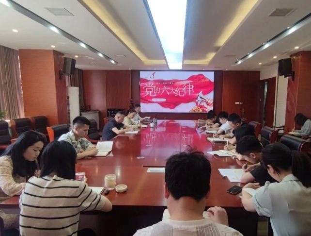 恪守“六大紀(jì)律”，筑牢思想根基--市古鎮(zhèn)投資公司行政黨支部組織開展黨記學(xué)習(xí)教育專題黨課